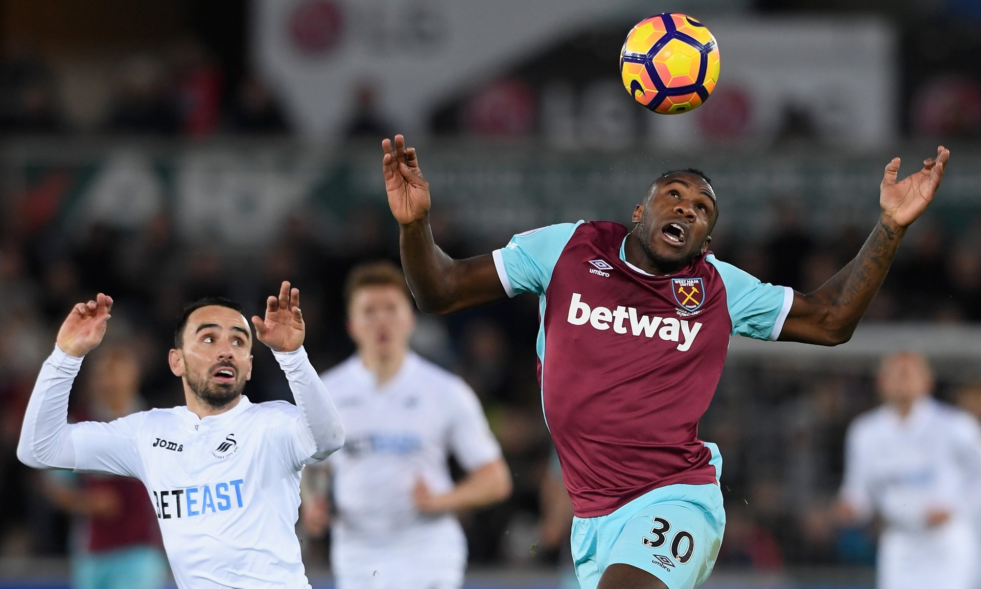 轻球员的培 轻球员的培